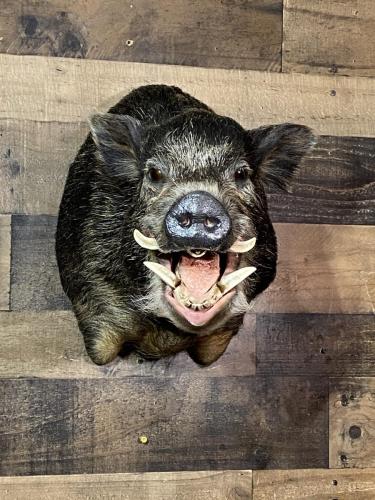 04ABFC6A-EE56-4185-A156-138B6BB6F75A