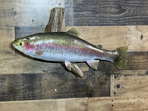 1C6993E5-2EEF-45E4-B0BA-04AB27FEDAB7