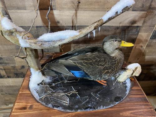 23FBE841-E04D-4077-B65D-898E2EA490BC