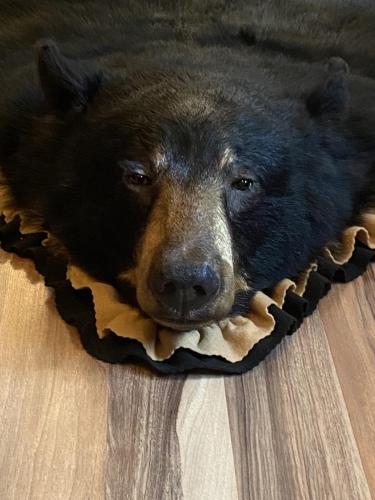 25817B81-6DF6-403E-84BE-793A3554698A