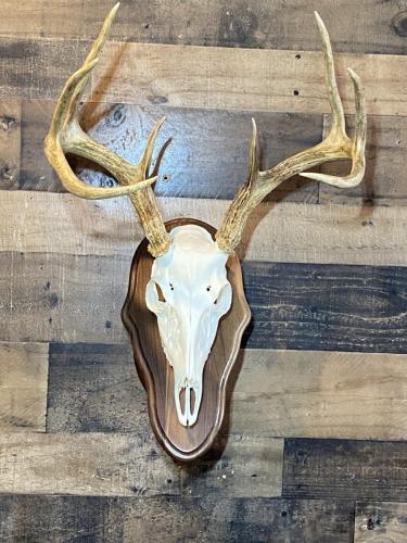 4BAF138B-DDFB-43A8-A166-F1E122DDCF93