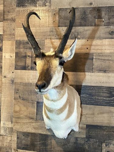 505C44DC-C052-4833-A498-B18AD95002E2