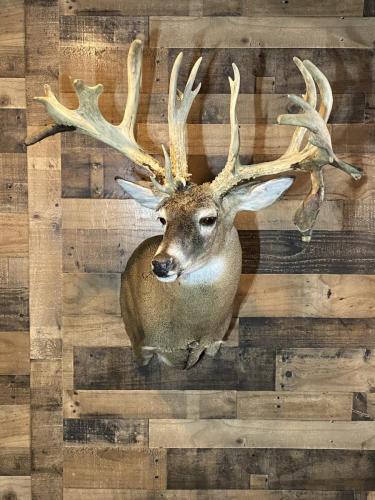 51B21B41-240D-4CDA-8F48-D9E8D2719091