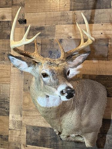 5C124231-30CD-4FBC-9C3E-A99354E70C5A