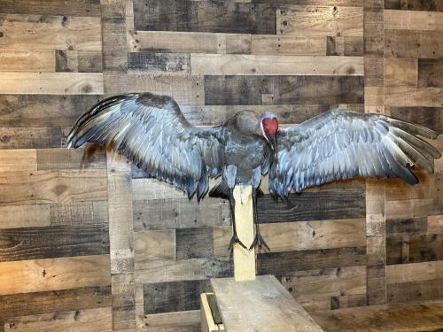 5FE0B5CB-A017-4644-AA84-913FEB8AAF91