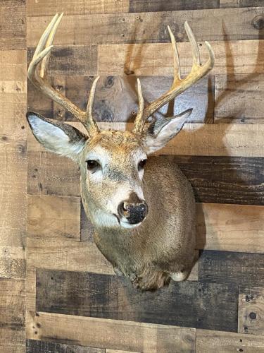 6F12E2D2-830E-4233-8054-BF0F9EE32058