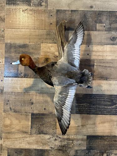 75CFC750-8FB1-491E-8E5D-5CB24CC2E133