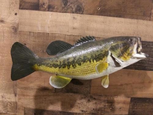 7_5LMB