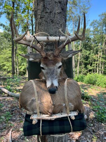 8A24D0A5-489B-4601-A988-5C2A58B64C7B