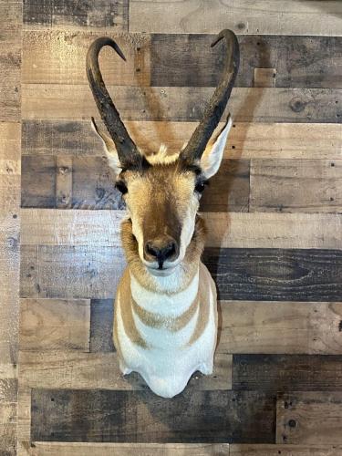 8A7B0176-7AB9-48CE-B320-4807D0139E71