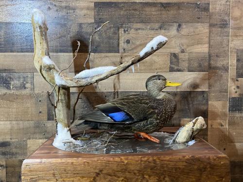 8BA08E3B-5822-49AD-9A19-C0ADC5071E0E