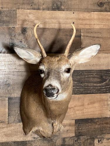 8E61FEA7-B33E-4759-A015-853CD0CD17DE (1)