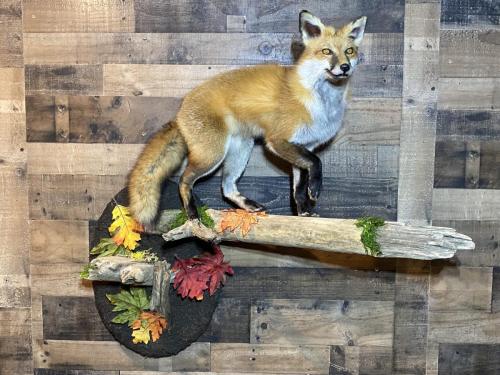 91CCE97F-4237-4432-9545-F6F4B3952A9E