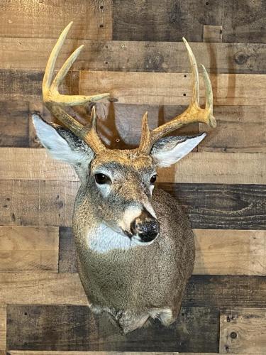 96A1ECB7-17F6-44BB-AF61-689B2C226852