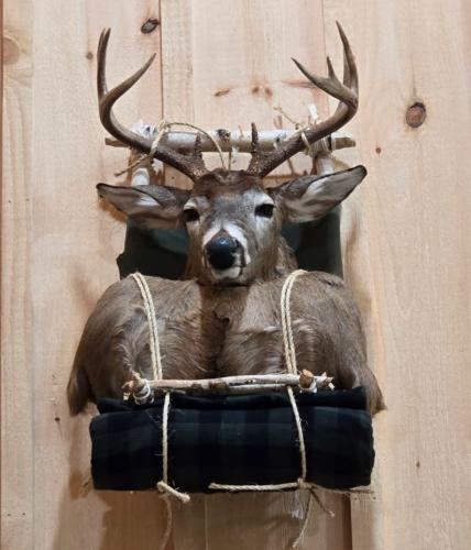 9A3CAA34-9F5F-4FE1-96C3-BE1ECDF88D07