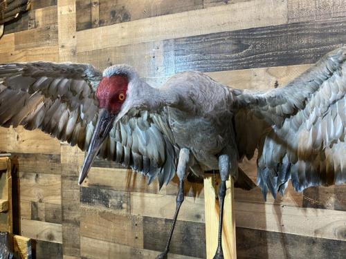 9DB81C49-259B-47C6-94EF-A93E4B7AF66B