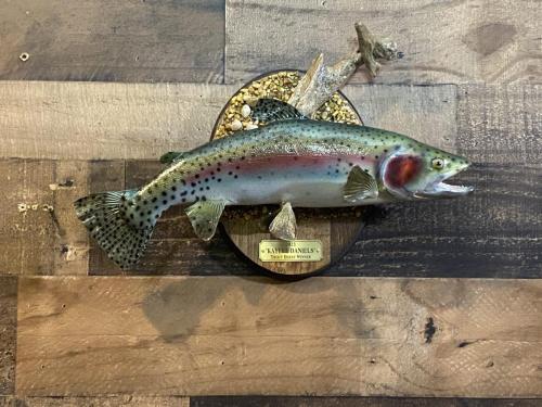 A2E12A03-DE79-49C8-B9F7-A378BEFE1D5D