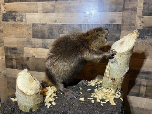 ABAE3E5D-8D7B-45FF-8E87-6823B16E2EDC