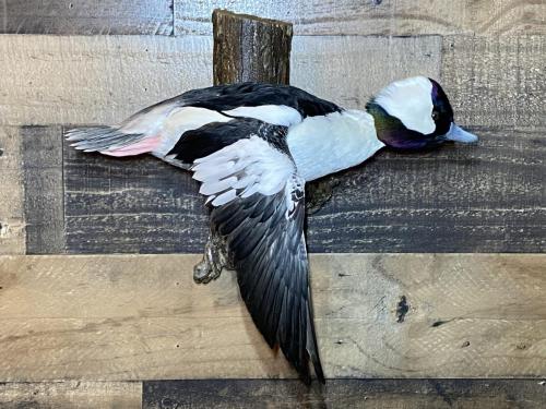 B463AA90-F5FE-4C03-8D04-5E15F182DC2B