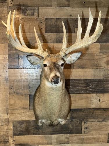 BD0A17A9-37CF-4603-9D4F-A3371908CB1B