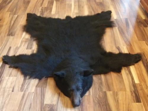 BearRug_1