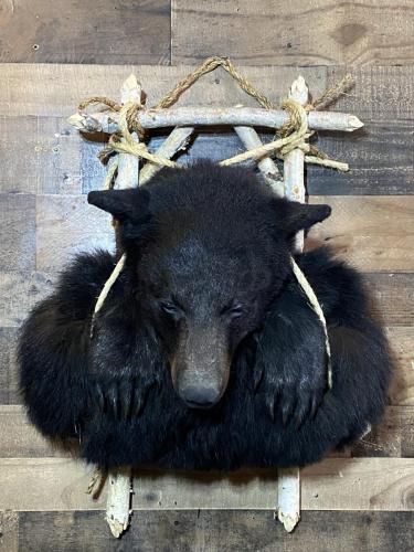 BlackBear Trapper
