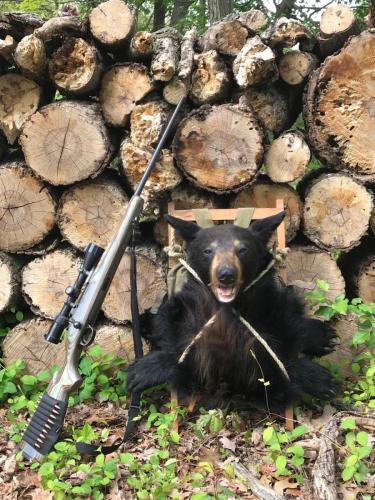 BlackBearBackpack