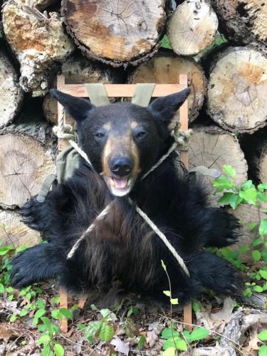BlackBearBackpack2