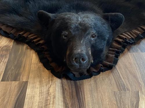 Blackbear Brown_Black Felt