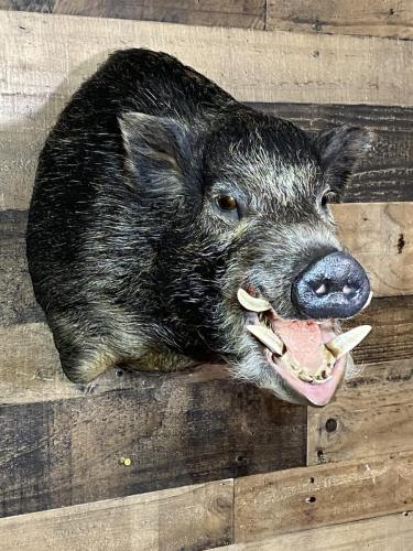 C5927269-E36D-483A-9FA9-74BC65F7B258