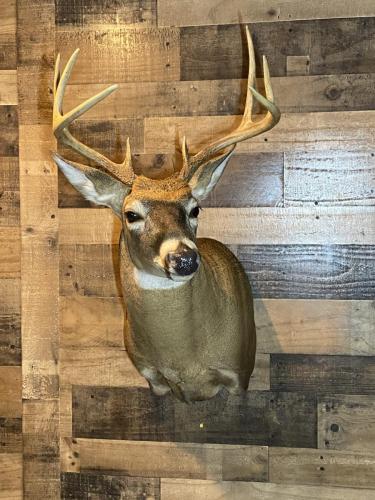 C672F325-A30C-4398-900C-8D3FC178D82F