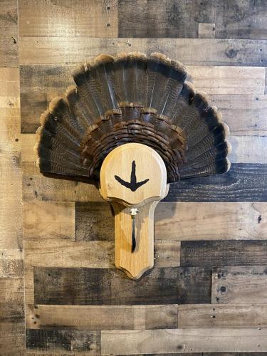 C8382E93-3F6A-4F98-8177-755AC0AC7D5B