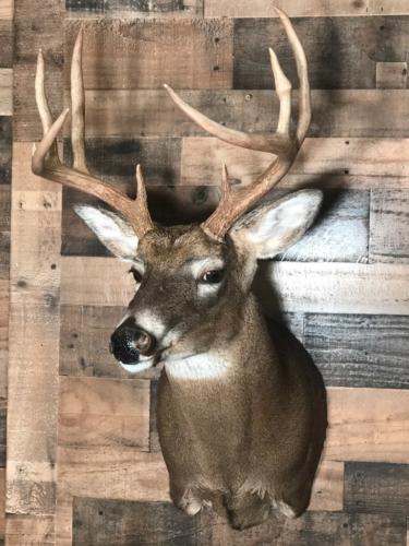 ClevengerBuck
