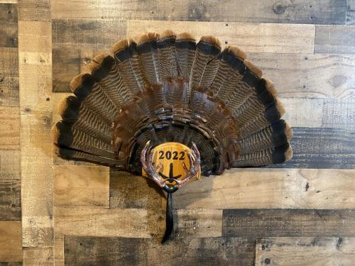 DBF8F338-EF4D-42C5-8F90-CE2F41ACCE84