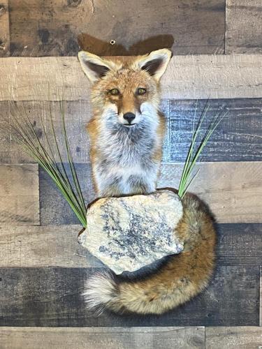 E90187A4-827E-4856-98F3-07F4D581D136