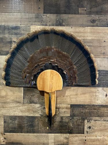 ED4B5D5D-9DC1-429B-B19E-19DB0BEA64CA