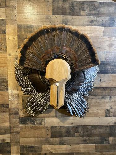 F3D21EDA-6B52-4CCE-A64B-FF4790588BBB