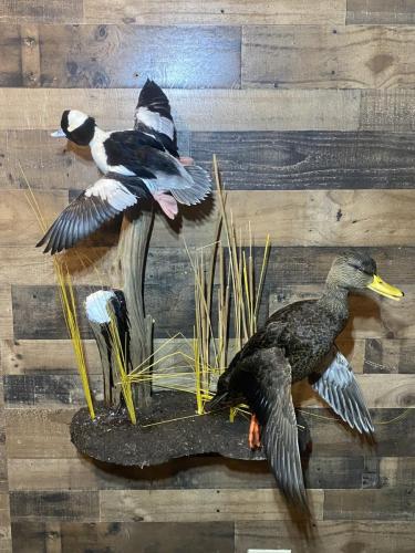 F7FF36C6-7D0F-46EC-81A4-37B87F750E18