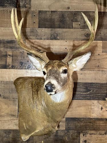 F9549E12-4E1B-41F1-952F-CC150A3897F7