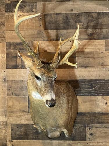 FA698AF2-8374-4162-9E4A-50D610399D22