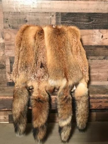 FoxHidesTrapper