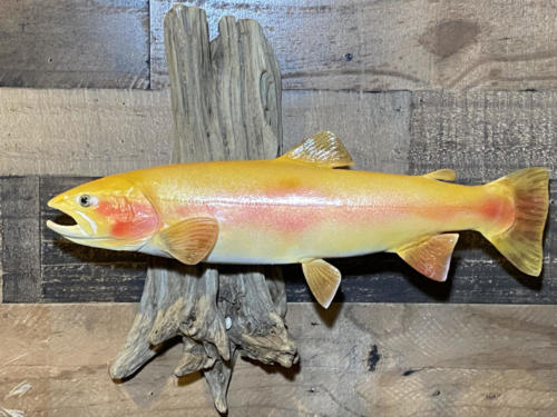 Palomino
