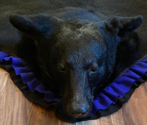 bear rug Head CM