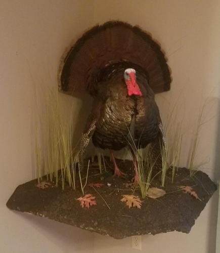 cornermount turkey